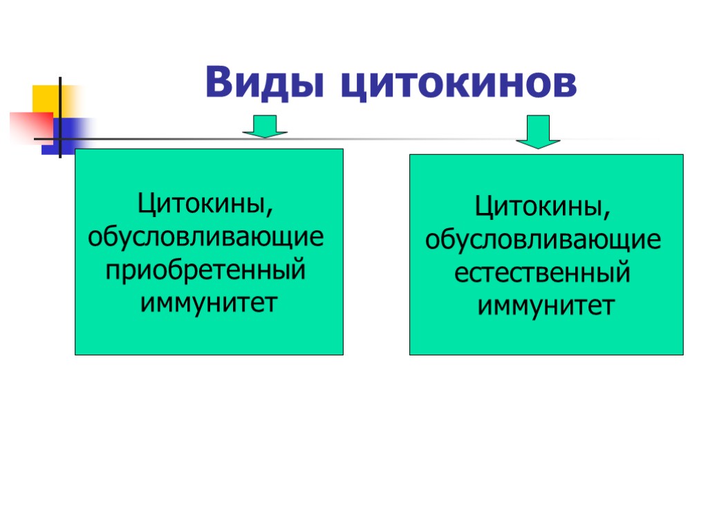 Виды цитокинов Цитокины, обусловливающие приобретенный иммунитет Цитокины, обусловливающие естественный иммунитет